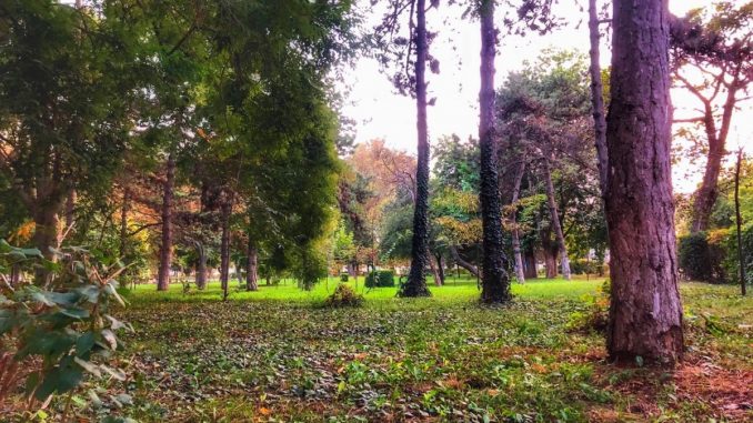 parc constanta